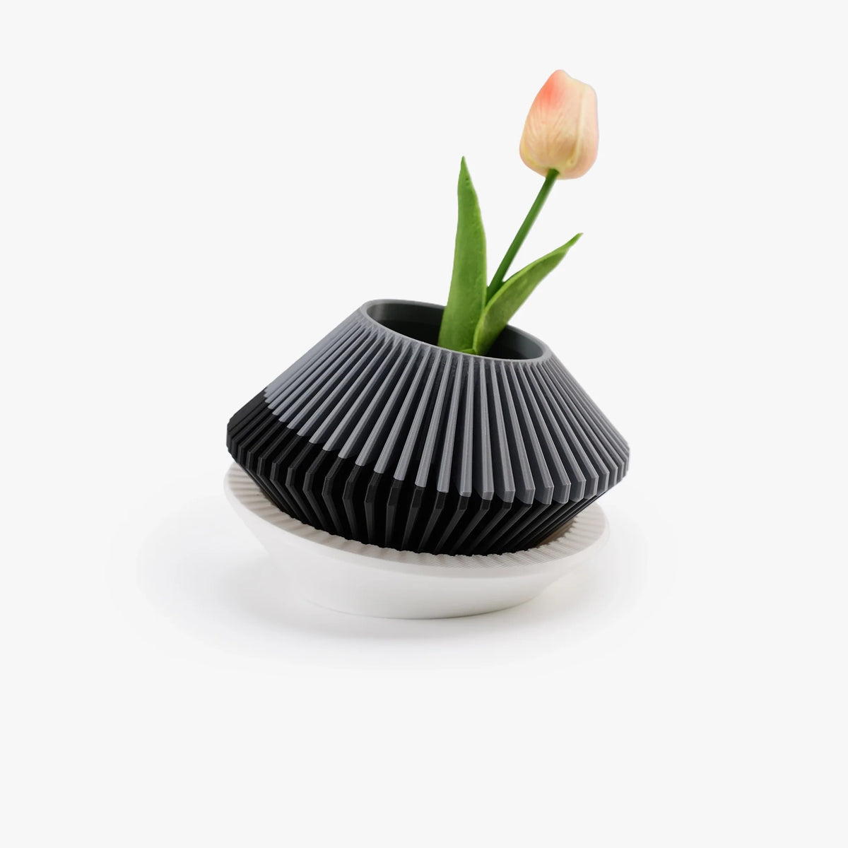 Modern indoor plant pot