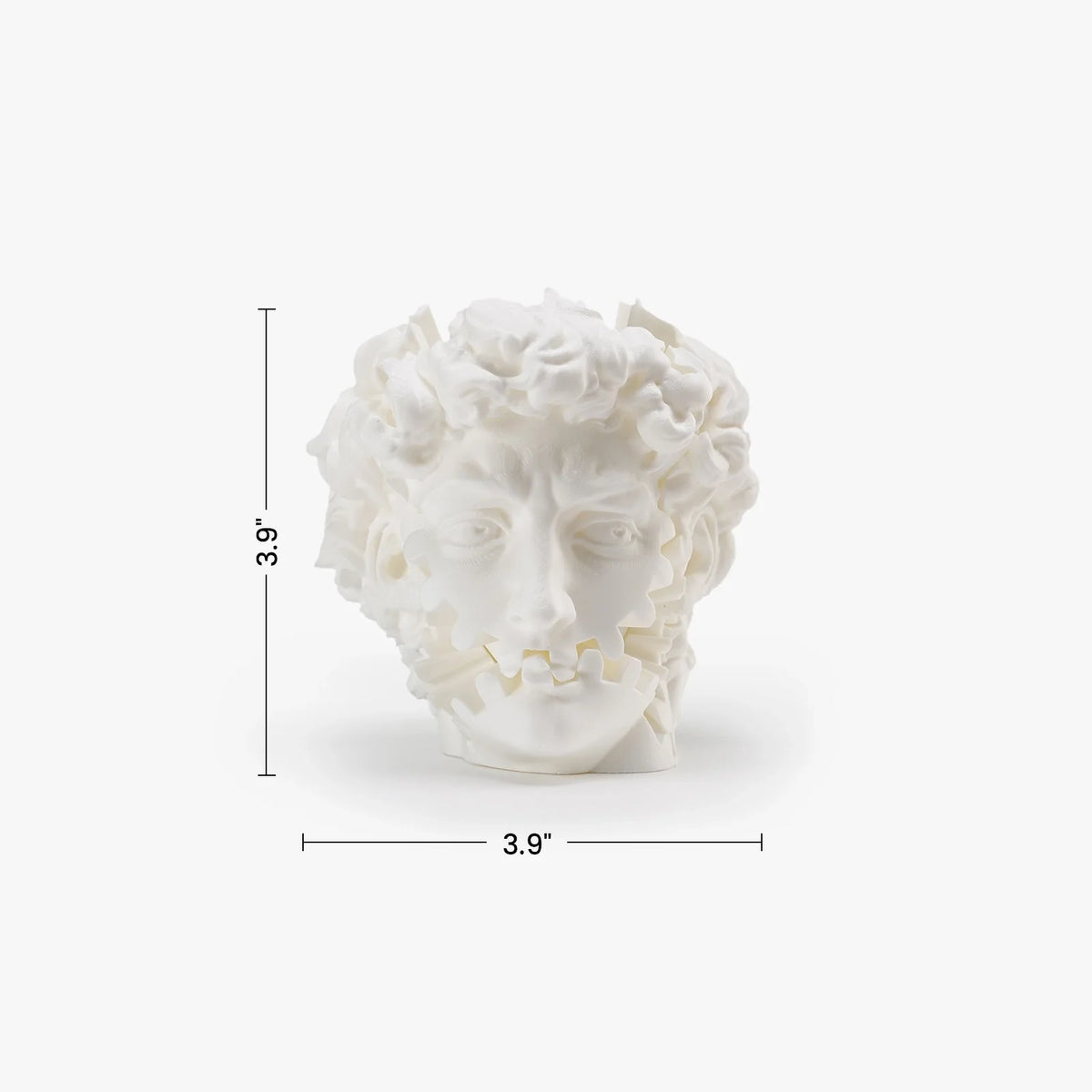 Product dimensions of David Head Gear Toy
