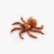 3D Printed Spider detailed view