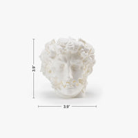 Product dimensions of David Head Gear Toy
