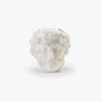 Top front view of David Head Gear Toy